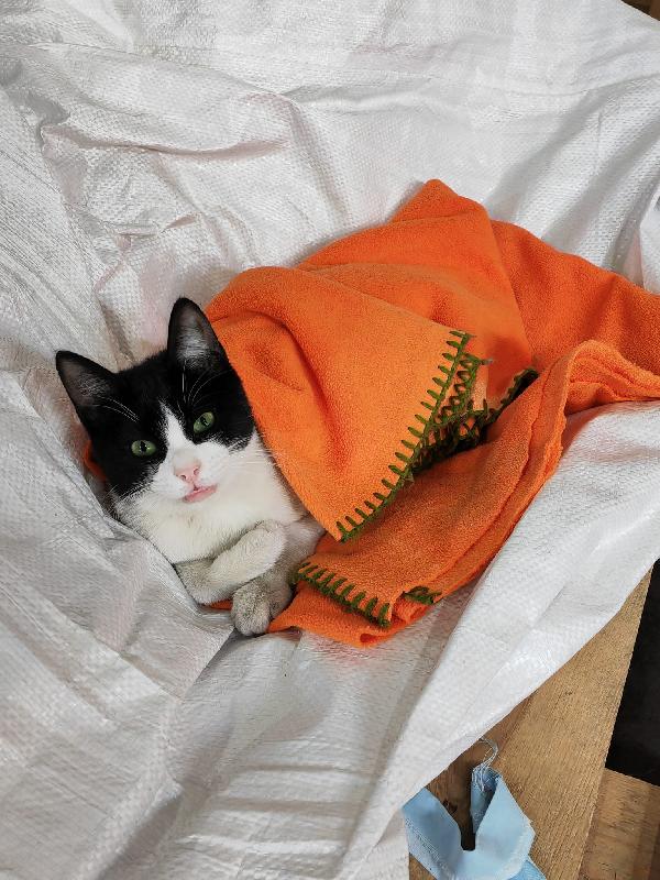 Zipper amabile giocherellone Foto 6